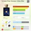 Versace Pour Homme Dylan Blue