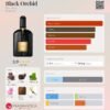 Black Orchid Tom Ford